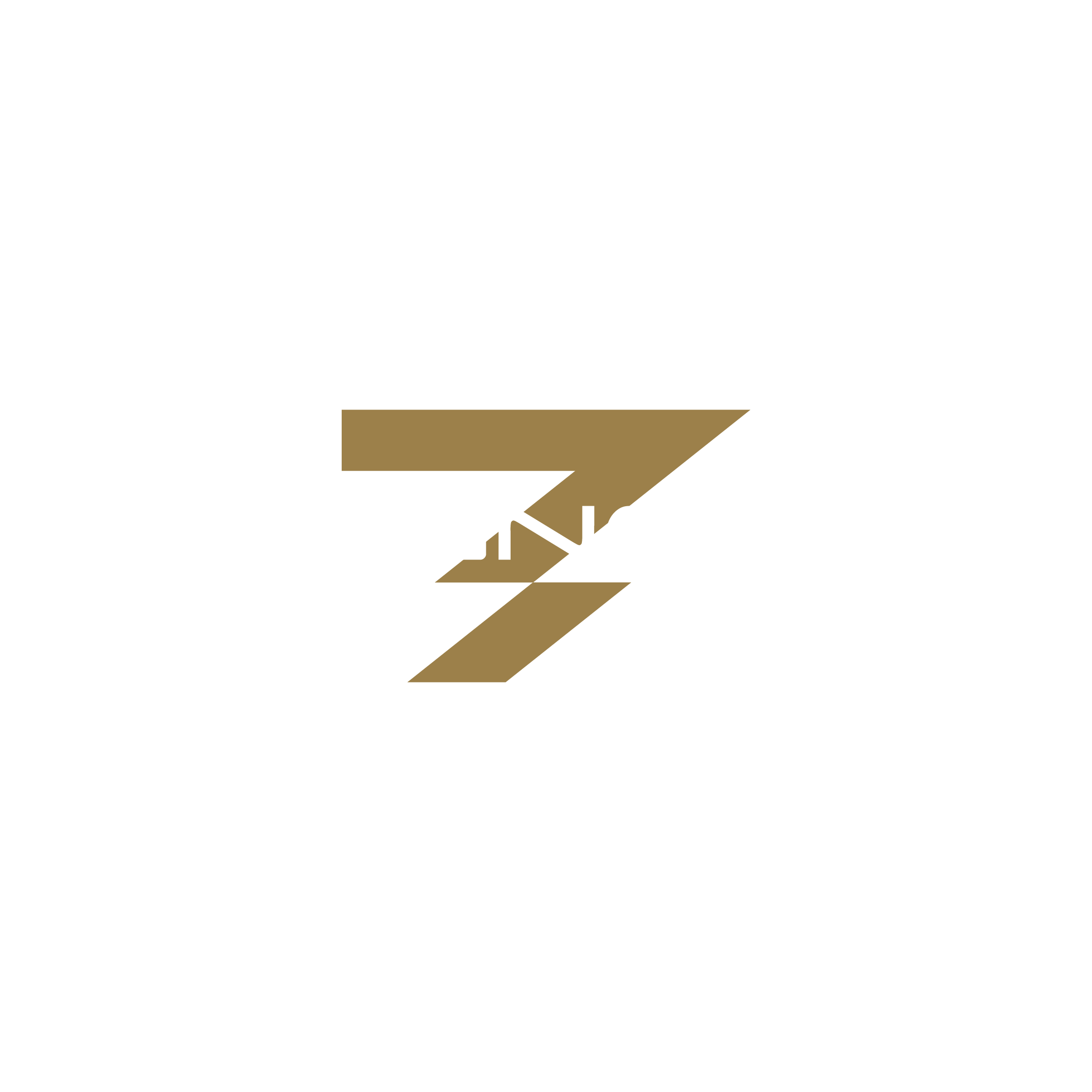 Logo de Magness Gym
